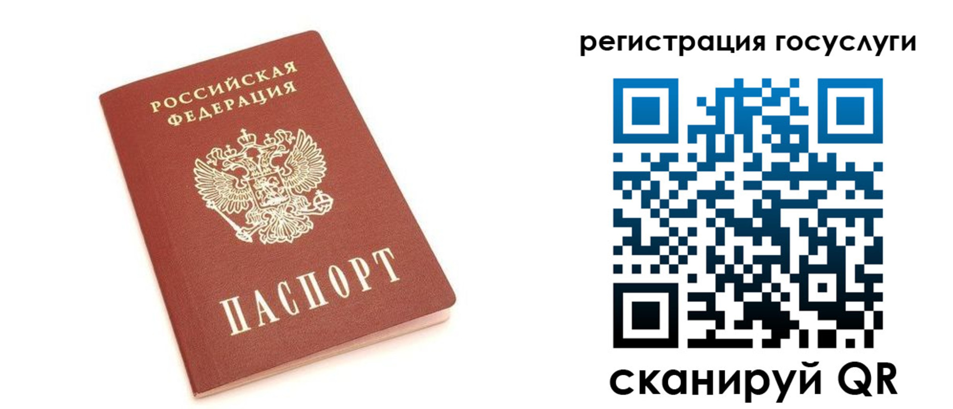 прописка 2025 в Невеле